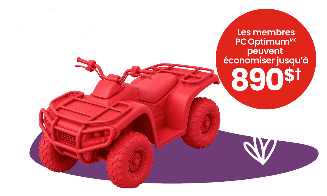 Lifestyle Vehicles