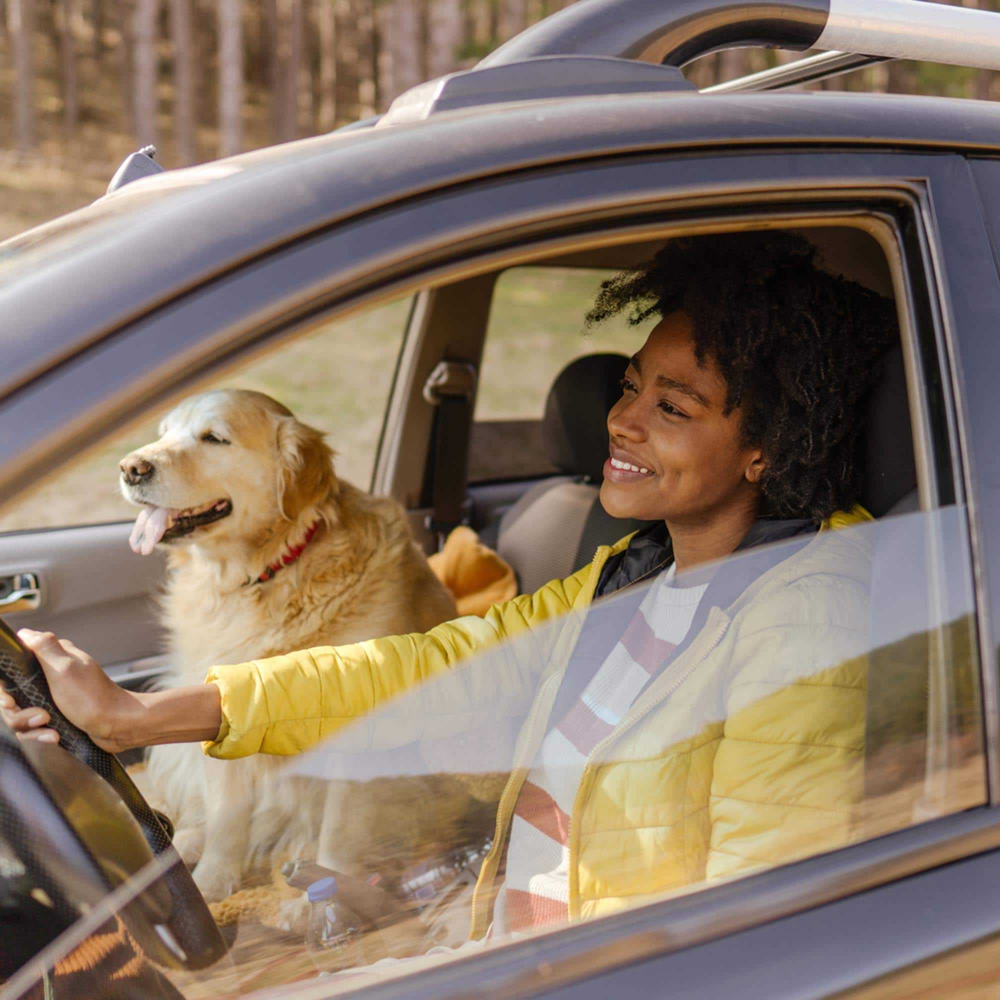 Girl and the Dog in The Car - Cambridge
