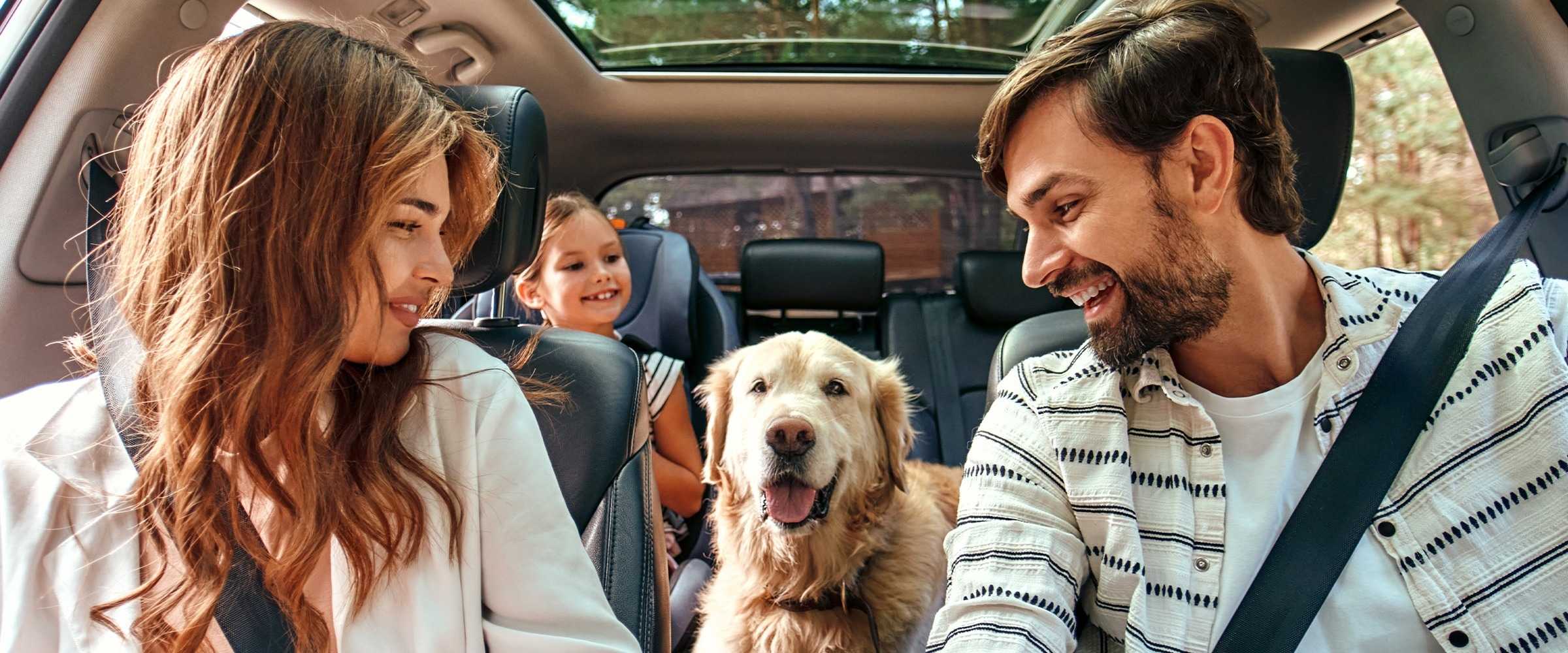 Family in the car