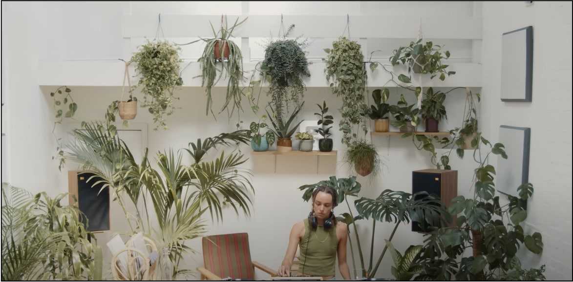 DJ music between plants